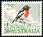 Scarlet Robin Petroica boodang  1966 Definitives 