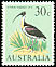 Straw-necked Ibis Threskiornis spinicollis  1966 Definitives 