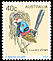 Lovely Fairywren Malurus amabilis  1979 Australian birds 