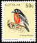 Flame Robin Petroica phoenicea