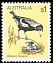 Australian Magpie Gymnorhina tibicen  1980 Australian birds 