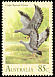 Cape Barren Goose Cereopsis novaehollandiae  1991 Birds 