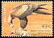 Wedge-tailed Eagle Aquila audax  2001 Birds of prey 