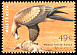 Wedge-tailed Eagle Aquila audax