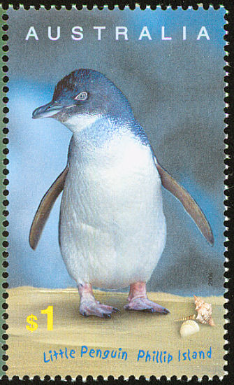 Little Penguin: <i>Eudyptula minor</i>