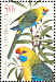 Green Rosella Platycercus caledonicus  2005 Australian parrots Strip