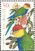 Red-capped Parrot Purpureicephalus spurius