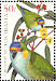Purple-crowned Lorikeet Parvipsitta porphyrocephala  2005 Australian parrots Strip