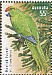 Norfolk Parakeet Cyanoramphus cookii  2009 Species at risk 