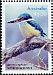 Sacred Kingfisher Todiramphus sanctus