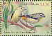 Spotted Pardalote Pardalotus punctatus  2013 Australian birds on stamps Prestige booklet, pane 1