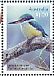 Sacred Kingfisher Todiramphus sanctus