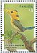 Yellow-billed Kingfisher Syma torotoro  2013 Australian birds on stamps Prestige booklet, pane 3