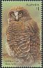 Rufous Owl Ninox rufa  2016 Owls 
