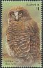 Rufous Owl Ninox rufa