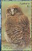 Rufous Owl Ninox rufa  2016 Owls Sheet