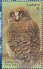 Rufous Owl Ninox rufa