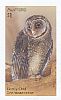 Greater Sooty Owl Tyto tenebricosa  2016 Owls Booklet, sa