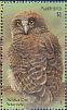 Rufous Owl Ninox rufa