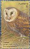 Eastern Grass Owl Tyto longimembris  2016 Owls Prestige booklet