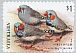 Australian Zebra Finch Taeniopygia castanotis  2018 Finches of Australia sa