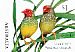 Star Finch Bathilda ruficauda  2018 Finches of Australia Booklet, sa