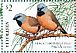 Black-throated Finch Poephila cincta  2018 Finches of Australia Sheet