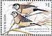 Double-barred Finch Stizoptera bichenovii  2018 Thailand 2018 Double-barred Finch 3x1v sheet