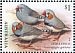 Australian Zebra Finch Taeniopygia castanotis  2018 2018 Collection, Finches of Australia Sheet