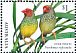 Star Finch Bathilda ruficauda  2018 2018 Collection, Finches of Australia Sheet