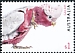 Galah Eolophus roseicapilla  2019 Australian fauna 4v set