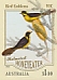 Yellow-tufted Honeyeater Lichenostomus melanops