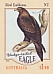 Wedge-tailed Eagle Aquila audax  2020 Bird emblems sa