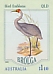 Brolga Antigone rubicunda  2020 Bird emblems sa