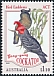 Gang-gang Cockatoo Callocephalon fimbriatum  2020 Bird emblems 
