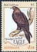 Wedge-tailed Eagle Aquila audax  2020 Bird emblems 