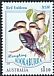 Laughing Kookaburra Dacelo novaeguineae  2020 Bird emblems 