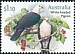 White-headed Pigeon Columba leucomela  2021 Pigeons and doves 