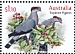 Topknot Pigeon Lopholaimus antarcticus  2021 Pigeons and doves Sheet