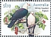 White-headed Pigeon Columba leucomela  2021 Pigeons and doves Sheet