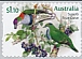 Superb Fruit Dove Ptilinopus superbus  2021 Pigeons and doves sa