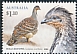 Malleefowl Leipoa ocellata  2022 Megapodes of Australia 