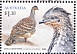 Malleefowl Leipoa ocellata