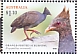 Orange-footed Scrubfowl Megapodius reinwardt  2022 Megapodes of Australia Sheet