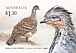 Malleefowl Leipoa ocellata