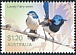 Lovely Fairywren Malurus amabilis  2023 Fairy-wrens 