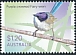 Purple-crowned Fairywren Malurus coronatus  2023 Fairy-wrens 