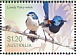 Lovely Fairywren Malurus amabilis  2023 Fairy-wrens Sheet