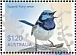 Superb Fairywren Malurus cyaneus  2023 Fairy-wrens Sheet