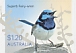 Superb Fairywren Malurus cyaneus  2023 Fairy-wrens Booklet with 5 sets, sa